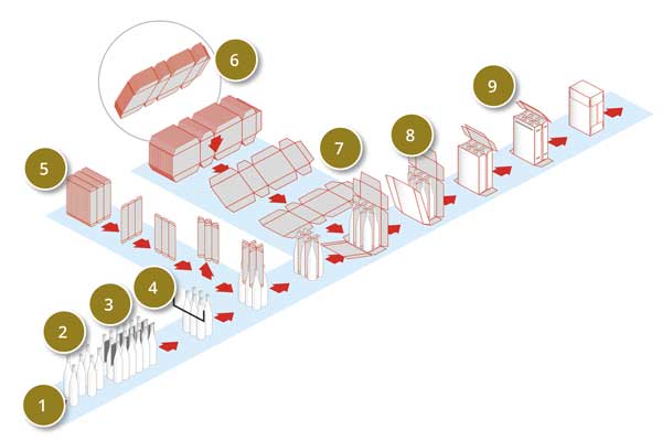 schema giotto